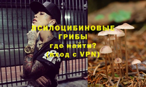 МДПВ Алзамай