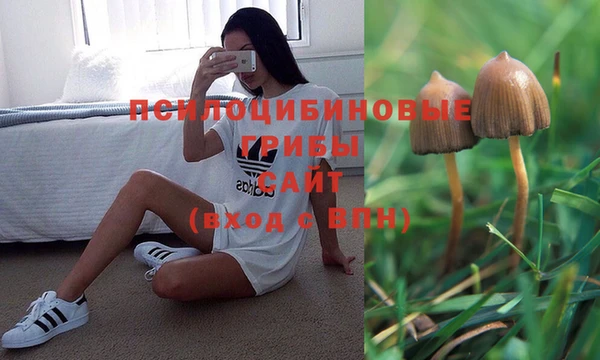 МДПВ Алзамай
