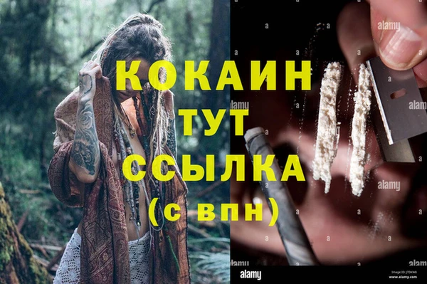 молекула духа Алексин