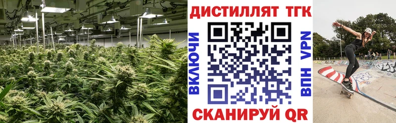 закладка  darknet официальный сайт  Дистиллят ТГК гашишное масло  Сольвычегодск 