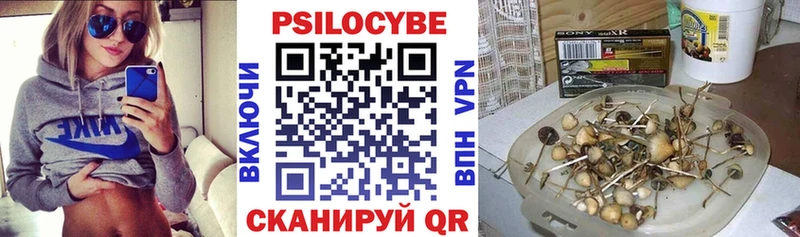 Галлюциногенные грибы мицелий  Сольвычегодск 