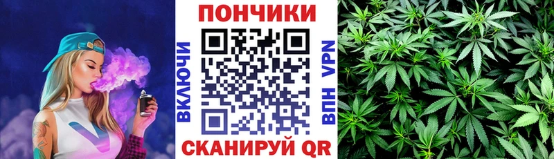 blacksprut ссылка  Сольвычегодск  Бошки марихуана White Widow 